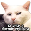 Ya vete a dormir criatura