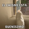 EL CHISME ESTÁ
BUENÍSIMO