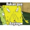 Petrik 30