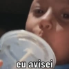 eu avisei