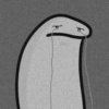 Flork Indo 11