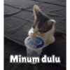 Empus nakal 13