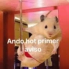 🤪👌Shitposting Random 😎🤟 9