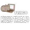 Respuestas rapidas  15