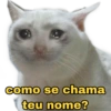 como se chama
teu nome?