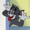 Tom and Jerry 8