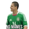 NO MAMES