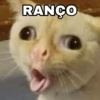 MEMES ANIMAIS  7
