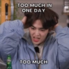 TOO MUCH IN ONE DAY TOO MUCH