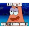 Petrik 29