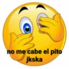 Chingaderas feas jajakksaks 7