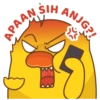 APAAN HIS