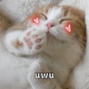 A
uwu
L