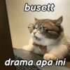 busett drama apa ini