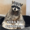 MIRA QUE
PENDEJADA