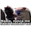 Vecinos Invasores 29