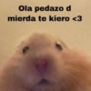 Ola pedazo d
mierda te kiero <3