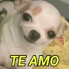 MEMES E REAÇÕES 😊😂 10