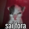 saí fora