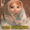 MEMES ANIMAIS  9