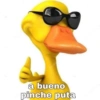 a bueno pinche puta