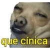 que cínica