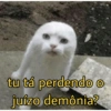 tu tá perdendo o
juízo demônia?