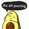 Au ah pucing