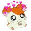 Hamtaro 8