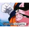 Silencio, Indígena