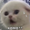 KÓMO??
b
し