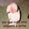 Memes e...não sei se comento 🫣 11