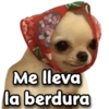 Giseelove Stickers
Me lleva
la berdura