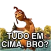 JOÃO FRANGO: MEMES PRO ZAP 17
