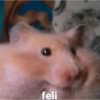 feli
