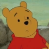 Winnie Pooh 🍯 19