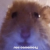 🤪👌Shitposting Random 😎🤟 7