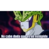 No cabe duda que es un estúpido