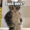ApaA dekk?