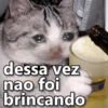 ALÔ AMBEV 🍺🤙 14