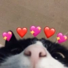 Indiretas de amor 12