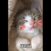 uwu