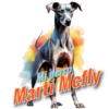 Mi perro Marti Mcfly PAN