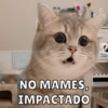 NO MAMES, IMPACTADO