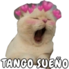 TANGO SUEÑO