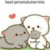 hasil persetubuhan kita