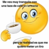 Bola amarilla 21