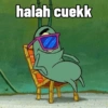 halah cuekk