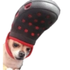 Memes Perritos 🐕 9
