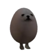 Memes Perritos 🐕 13